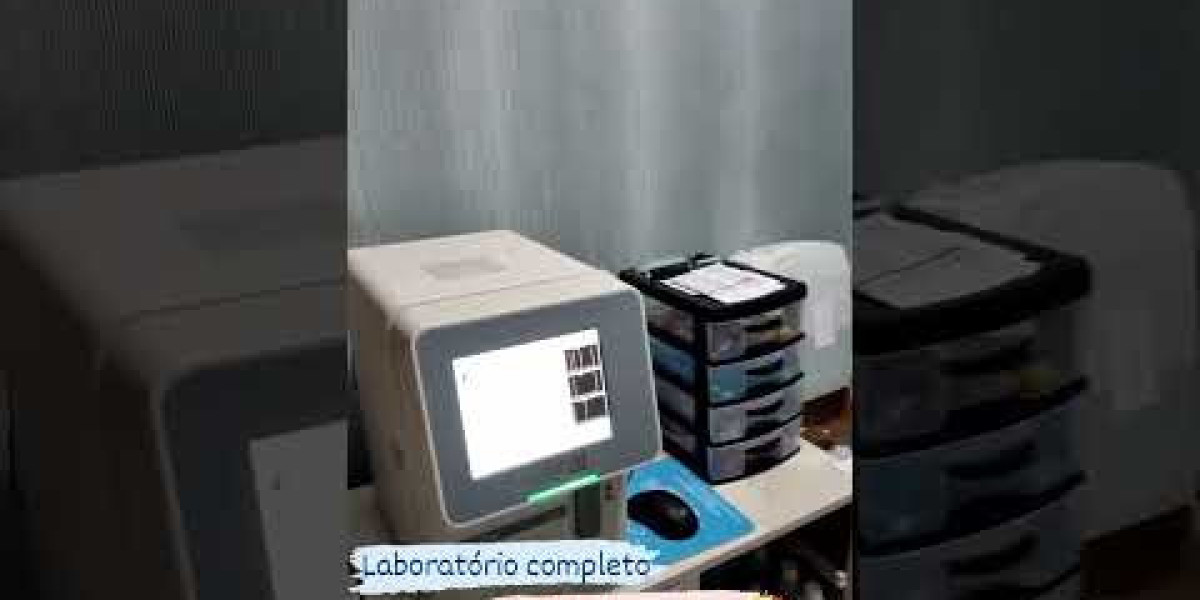 Desvendando a Saúde do Fígado: A Importância do Exame de Função Hepática em Cães