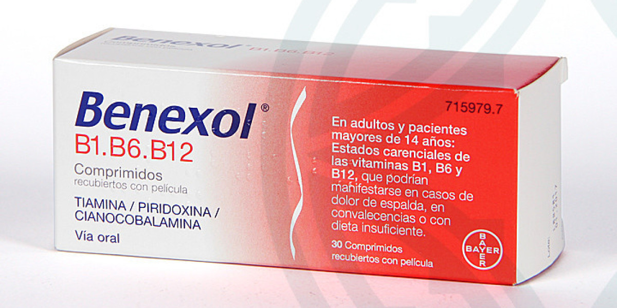¿Para qué es bueno el romero? Conoce sus propiedades y usos medicinales