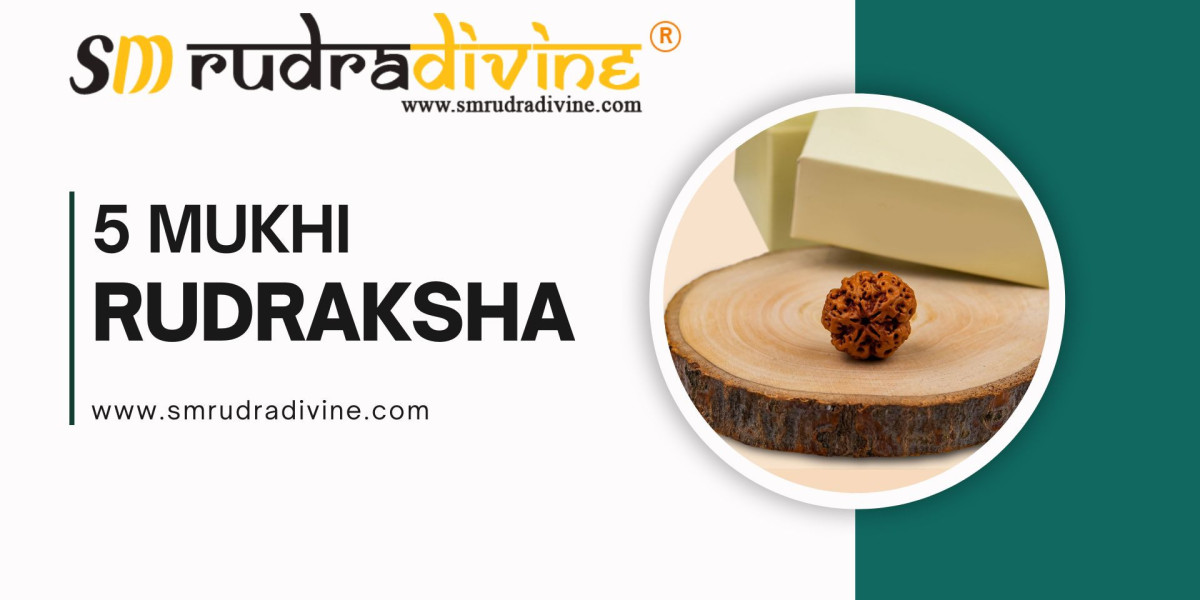 Price and Origin of Authentic 5 Mukhi Rudraksha