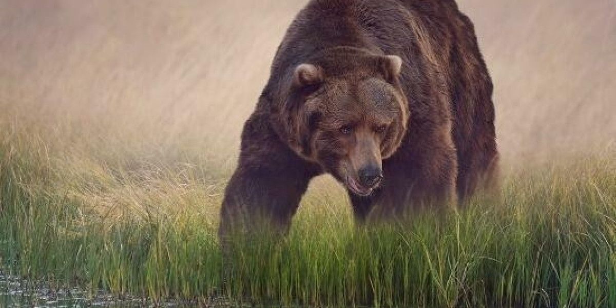 Does a Ground Lease Fit Your Commercial Residential Or Commercial Property Needs?