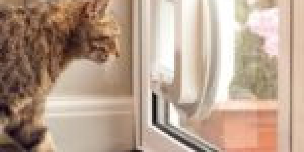 The Biggest Issue With Cat Flap Installation Guide And How To Fix It