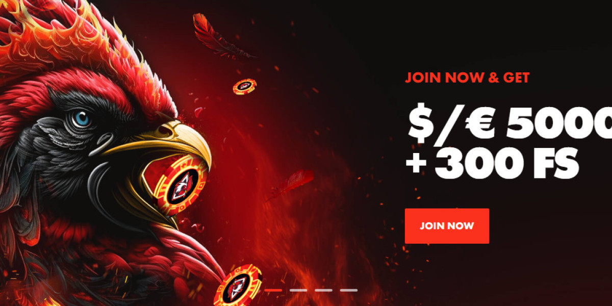 Roosterbet Casino The Coop Where Winners Gather