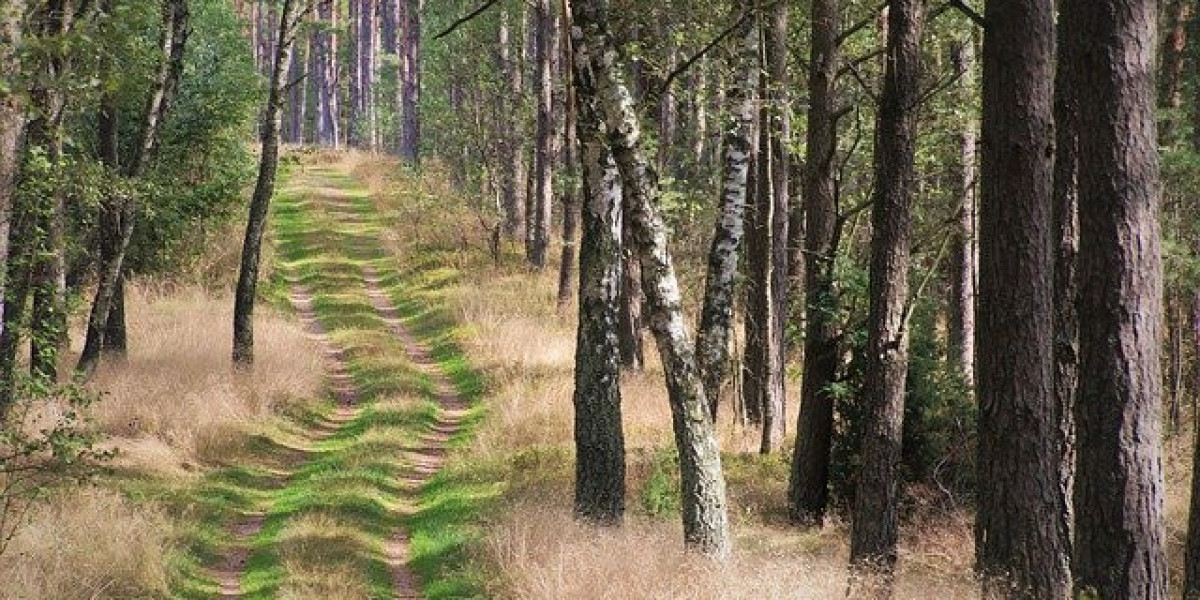 SugarRush Casino Bonus