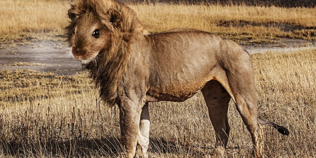 UnicoAsfaltos Online Slots