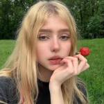 swift groove Profile Picture