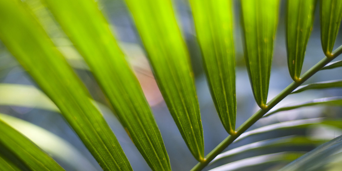 Testosterone Enanthate: Dosage, Cycle And Side Effects!