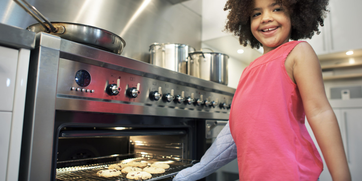 The Reasons You'll Want To Read More About Integrated Electric Oven