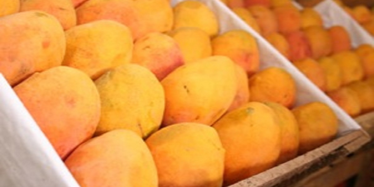 How Will Packaging Technology Evolve for Mango Companies in Pakistan by 2026?